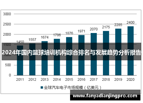 2024年国内篮球培训机构综合排名与发展趋势分析报告