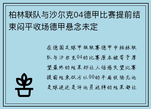柏林联队与沙尔克04德甲比赛提前结束闷平收场德甲悬念未定
