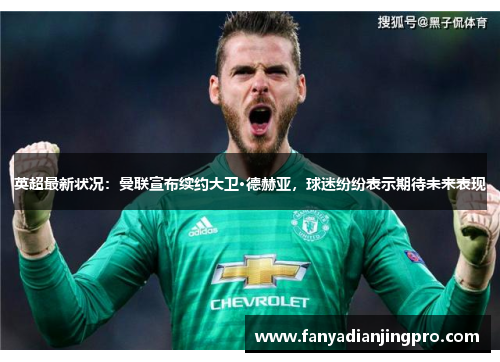 英超最新状况：曼联宣布续约大卫·德赫亚，球迷纷纷表示期待未来表现